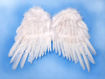 Picture of ANGEL WINGS WHITE 53X37CM